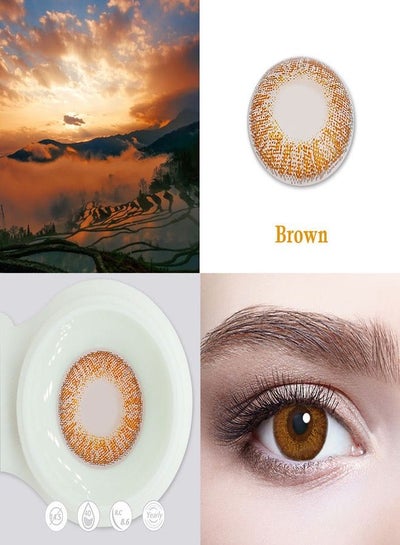 Brown Colored Yearly Disposable Soft Contact Lenses - DSF0003