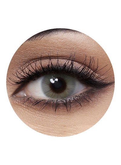 Addict Grey 6 Months Disposable Contact Lenses - Disposable Lens