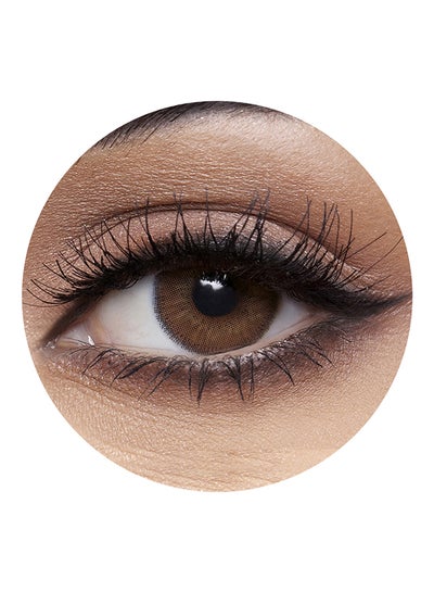 Addict Marron 6 Months Disposable Contact Lenses - Disposable Lens