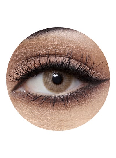 Addict Oro (Light Honey) 6 Months Disposable Contact Lenses -