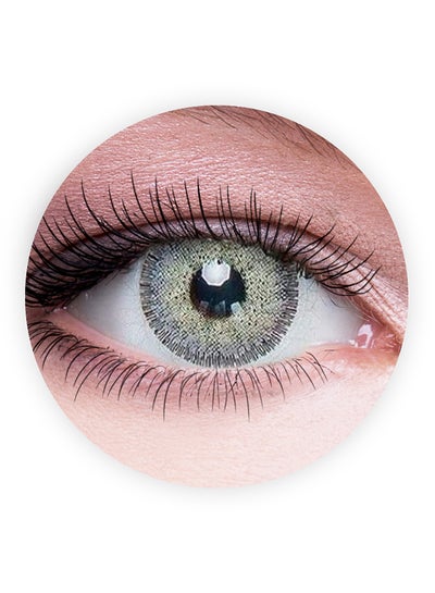 9 Months Disposable Eye Enlargement Collection Contact Lenses, Lumirere Gray -