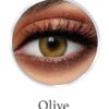 9 Months Disposable Platinum Collection Contact Lenses - 8800030844283