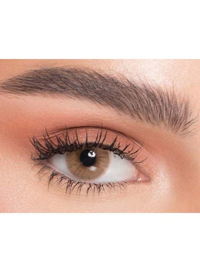 6 Months Disposable Lenses - Core Marron+4.00
