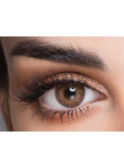 6 Months Disposable Lenses - ORO BROWN+4.00